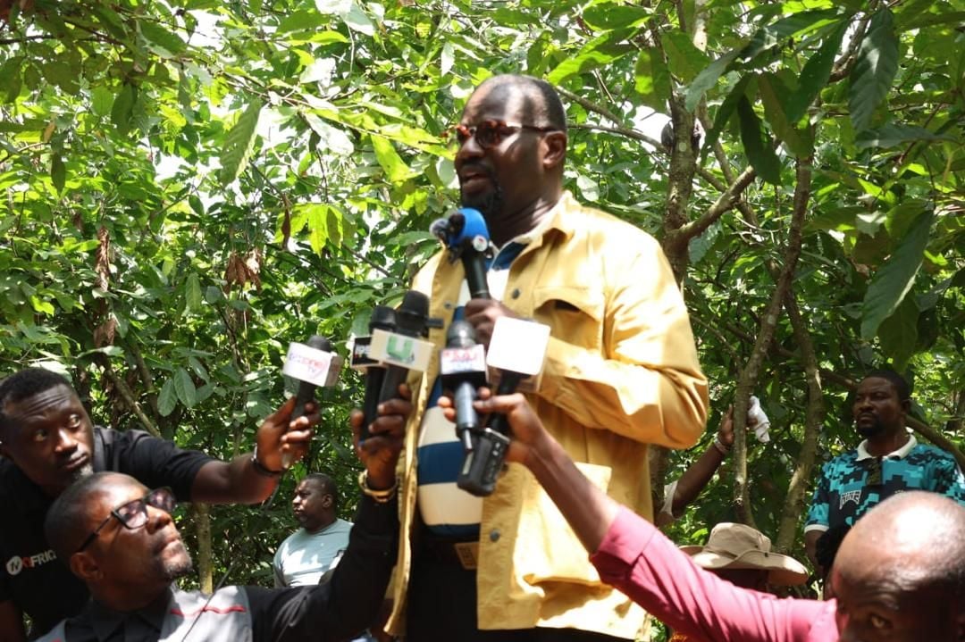 Gov't would not have reduced cocoa prices if we were in an election year - Annoh-Dompreh